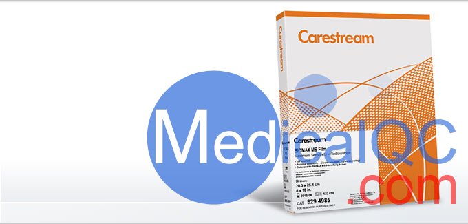 柯達(dá)BioMax MS膠片，BMS1 X射線膠片，Kodak BioMax MS科學(xué)膠片，Carestream自顯影膠片