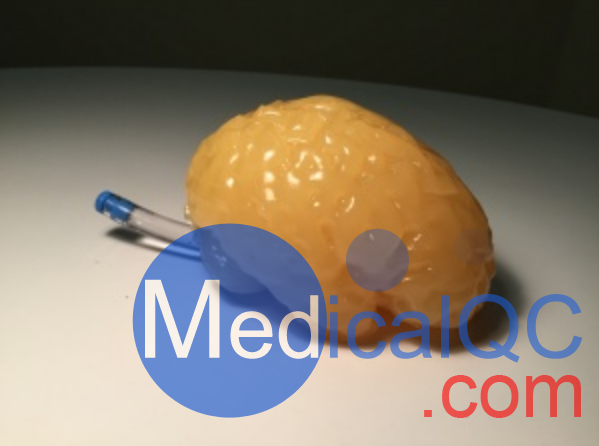 Truephantom BN-A01標(biāo)準(zhǔn)成人腦模體，適用于CT、MRI、超聲