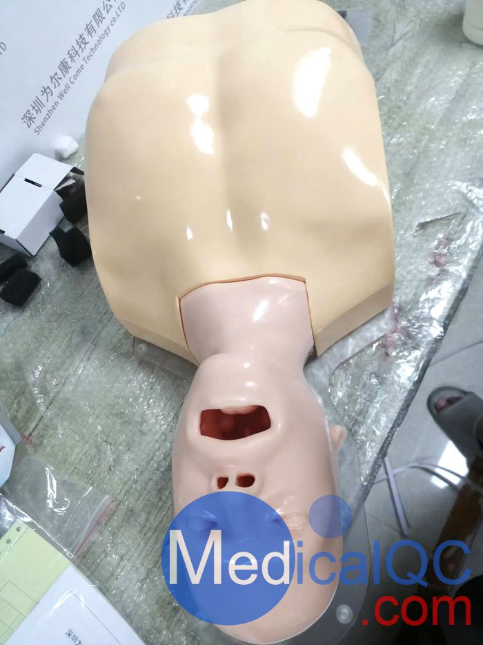 WEK-B05內(nèi)窺鏡支氣管模體，WEK-B05支氣管模型