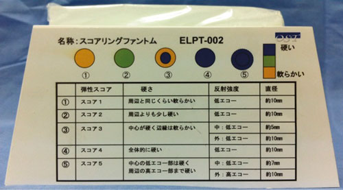 ELPT-002彈性成像模型，ELPT-002彈性成像模體