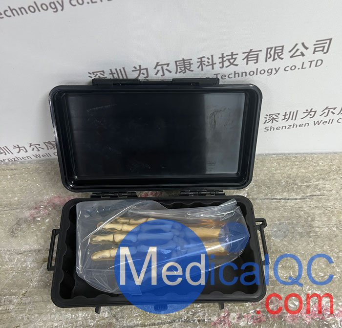 HN-P01兒童手掌模體，HN-P01手掌模型產(chǎn)品實(shí)拍圖