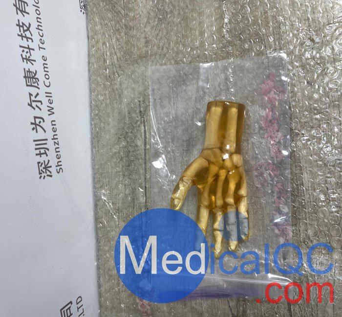 HN-P01兒童手掌模體，HN-P01手掌模型產(chǎn)品實(shí)拍圖