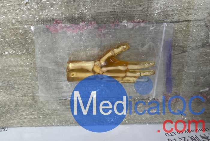 HN-P01兒童手掌模體，HN-P01手掌模型產(chǎn)品實(shí)拍圖