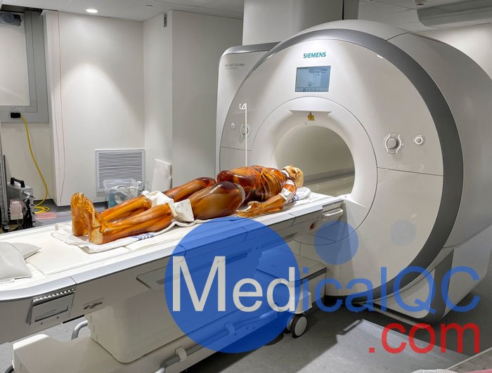 FB-A02成人全身模體,FB-A02全身CT模型，適用于X射線，CT,MRI