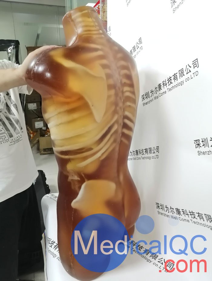 US-A02成人軀干模體，US-A02可用于超聲，CT,X射線成像